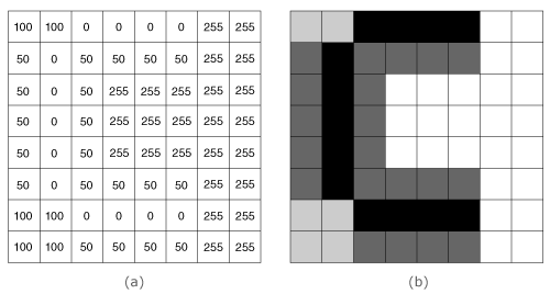 Figure 4: Digital and Visual Image Representation